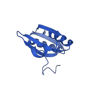 20208_6owf_BB_v1-3
Structure of a synthetic beta-carboxysome shell, T=3