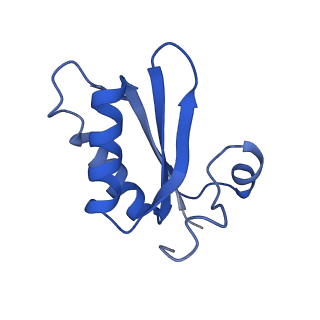 20208_6owf_BC_v1-2
Structure of a synthetic beta-carboxysome shell, T=3