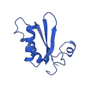 20208_6owf_BC_v1-3
Structure of a synthetic beta-carboxysome shell, T=3