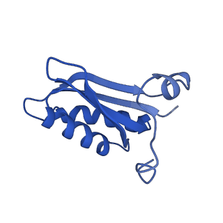 20208_6owf_BE_v1-2
Structure of a synthetic beta-carboxysome shell, T=3