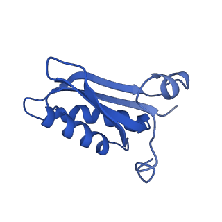 20208_6owf_BE_v1-3
Structure of a synthetic beta-carboxysome shell, T=3