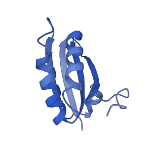 20208_6owf_BF_v1-2
Structure of a synthetic beta-carboxysome shell, T=3