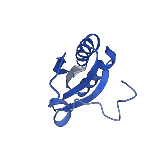 20208_6owf_BH_v1-2
Structure of a synthetic beta-carboxysome shell, T=3