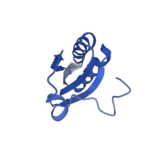 20208_6owf_BH_v1-3
Structure of a synthetic beta-carboxysome shell, T=3