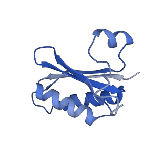 20208_6owf_BI_v1-2
Structure of a synthetic beta-carboxysome shell, T=3
