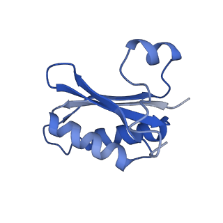 20208_6owf_BI_v1-3
Structure of a synthetic beta-carboxysome shell, T=3