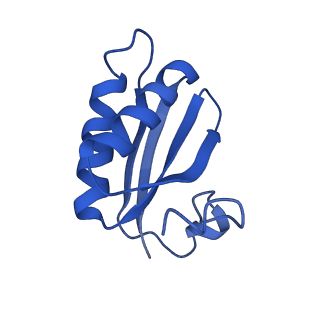 20208_6owf_BK_v1-2
Structure of a synthetic beta-carboxysome shell, T=3