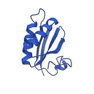 20208_6owf_BK_v1-3
Structure of a synthetic beta-carboxysome shell, T=3