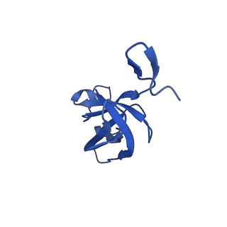 20208_6owf_BM_v1-2
Structure of a synthetic beta-carboxysome shell, T=3