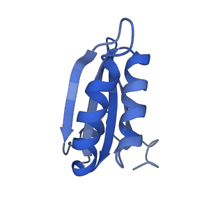 20208_6owf_BN_v1-2
Structure of a synthetic beta-carboxysome shell, T=3