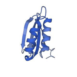 20208_6owf_BN_v1-3
Structure of a synthetic beta-carboxysome shell, T=3