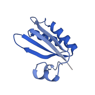 20208_6owf_BO_v1-2
Structure of a synthetic beta-carboxysome shell, T=3