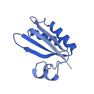 20208_6owf_BO_v1-3
Structure of a synthetic beta-carboxysome shell, T=3