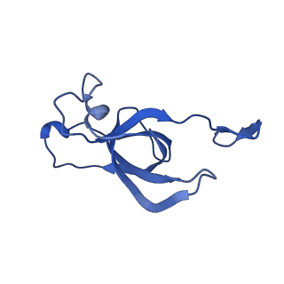 20208_6owf_BP_v1-2
Structure of a synthetic beta-carboxysome shell, T=3