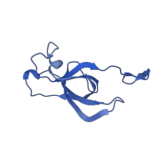 20208_6owf_BP_v1-3
Structure of a synthetic beta-carboxysome shell, T=3