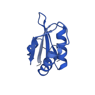20208_6owf_BR_v1-2
Structure of a synthetic beta-carboxysome shell, T=3