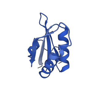 20208_6owf_BR_v1-3
Structure of a synthetic beta-carboxysome shell, T=3