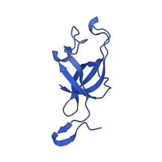20208_6owf_BS_v1-2
Structure of a synthetic beta-carboxysome shell, T=3
