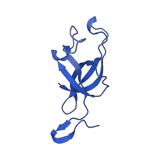 20208_6owf_BS_v1-3
Structure of a synthetic beta-carboxysome shell, T=3