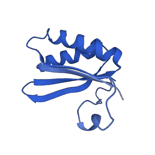 20208_6owf_BT_v1-2
Structure of a synthetic beta-carboxysome shell, T=3