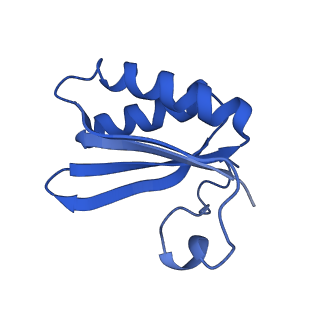 20208_6owf_BT_v1-3
Structure of a synthetic beta-carboxysome shell, T=3