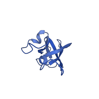 20208_6owf_BV_v1-2
Structure of a synthetic beta-carboxysome shell, T=3