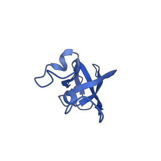 20208_6owf_BV_v1-3
Structure of a synthetic beta-carboxysome shell, T=3