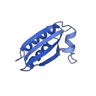 20208_6owf_BW_v1-2
Structure of a synthetic beta-carboxysome shell, T=3