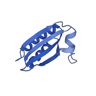 20208_6owf_BW_v1-3
Structure of a synthetic beta-carboxysome shell, T=3