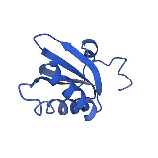 20208_6owf_BX_v1-3
Structure of a synthetic beta-carboxysome shell, T=3