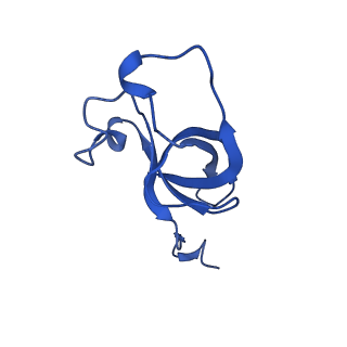 20208_6owf_BY_v1-2
Structure of a synthetic beta-carboxysome shell, T=3
