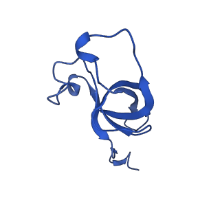 20208_6owf_BY_v1-3
Structure of a synthetic beta-carboxysome shell, T=3