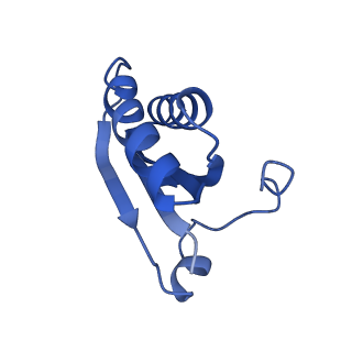 20208_6owf_BZ_v1-3
Structure of a synthetic beta-carboxysome shell, T=3