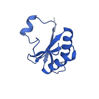 20208_6owf_B_v1-2
Structure of a synthetic beta-carboxysome shell, T=3