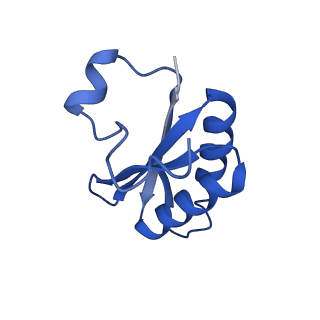 20208_6owf_B_v1-3
Structure of a synthetic beta-carboxysome shell, T=3