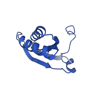 20208_6owf_C0_v1-3
Structure of a synthetic beta-carboxysome shell, T=3