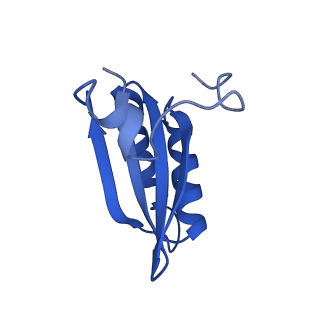 20208_6owf_C2_v1-2
Structure of a synthetic beta-carboxysome shell, T=3