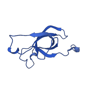 20208_6owf_C4_v1-2
Structure of a synthetic beta-carboxysome shell, T=3