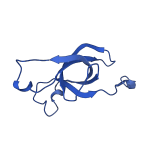 20208_6owf_C4_v1-3
Structure of a synthetic beta-carboxysome shell, T=3