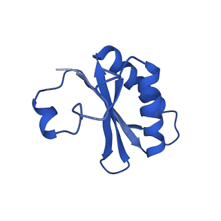 20208_6owf_C5_v1-2
Structure of a synthetic beta-carboxysome shell, T=3