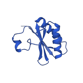 20208_6owf_C5_v1-3
Structure of a synthetic beta-carboxysome shell, T=3