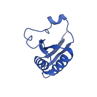 20208_6owf_C6_v1-2
Structure of a synthetic beta-carboxysome shell, T=3