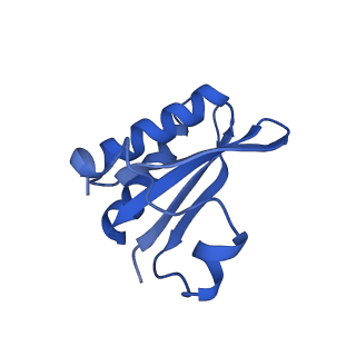 20208_6owf_C8_v1-2
Structure of a synthetic beta-carboxysome shell, T=3