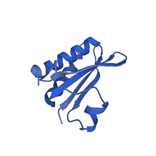 20208_6owf_C8_v1-3
Structure of a synthetic beta-carboxysome shell, T=3