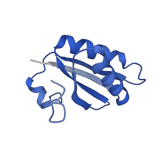 20208_6owf_C9_v1-2
Structure of a synthetic beta-carboxysome shell, T=3