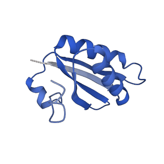 20208_6owf_C9_v1-3
Structure of a synthetic beta-carboxysome shell, T=3