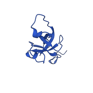 20208_6owf_CA_v1-2
Structure of a synthetic beta-carboxysome shell, T=3