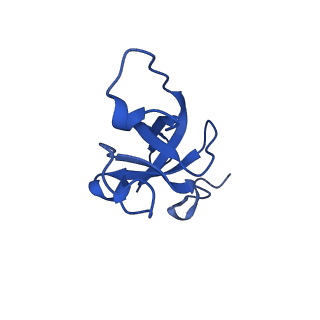 20208_6owf_CA_v1-3
Structure of a synthetic beta-carboxysome shell, T=3