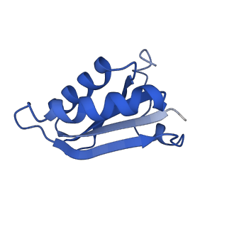 20208_6owf_CB_v1-2
Structure of a synthetic beta-carboxysome shell, T=3