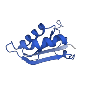 20208_6owf_CB_v1-3
Structure of a synthetic beta-carboxysome shell, T=3